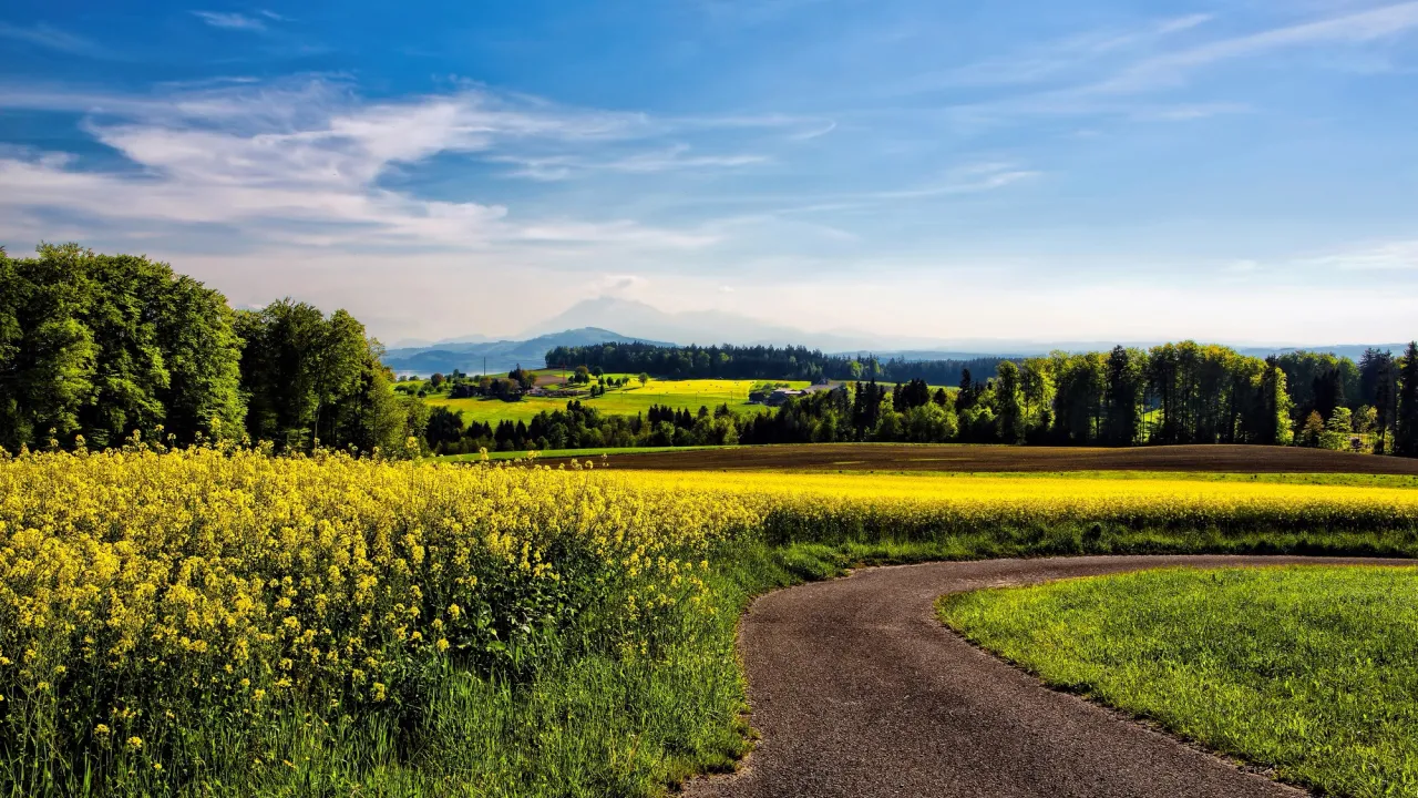 Чому 11 серпня не можна пускати в дім незнайомців і головні заборони дня 