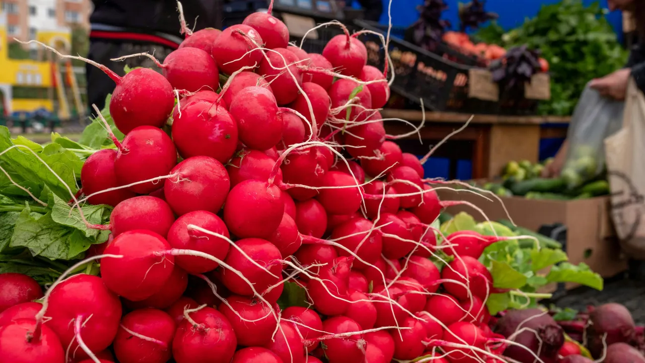 Смажений редис: простий літній гарнір за 5 хвилин 