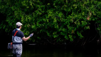 Рибалка за копійки: бюджетна приманка, яка дивує результатом - фото