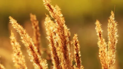 В Україну насувається хвиля спеки: коли чекати підвищення температури  - фото