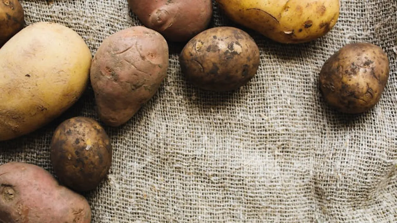 Картопля пролежить до весни без гниття і проростання: ось що потрібно покласти між бульбами 