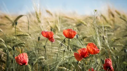 До України повертається літня спека: названо області, де буде найгарячіше - фото