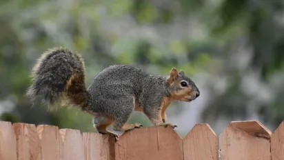 Після спеки до України увірветься похолодання: прогноз синоптика - фото