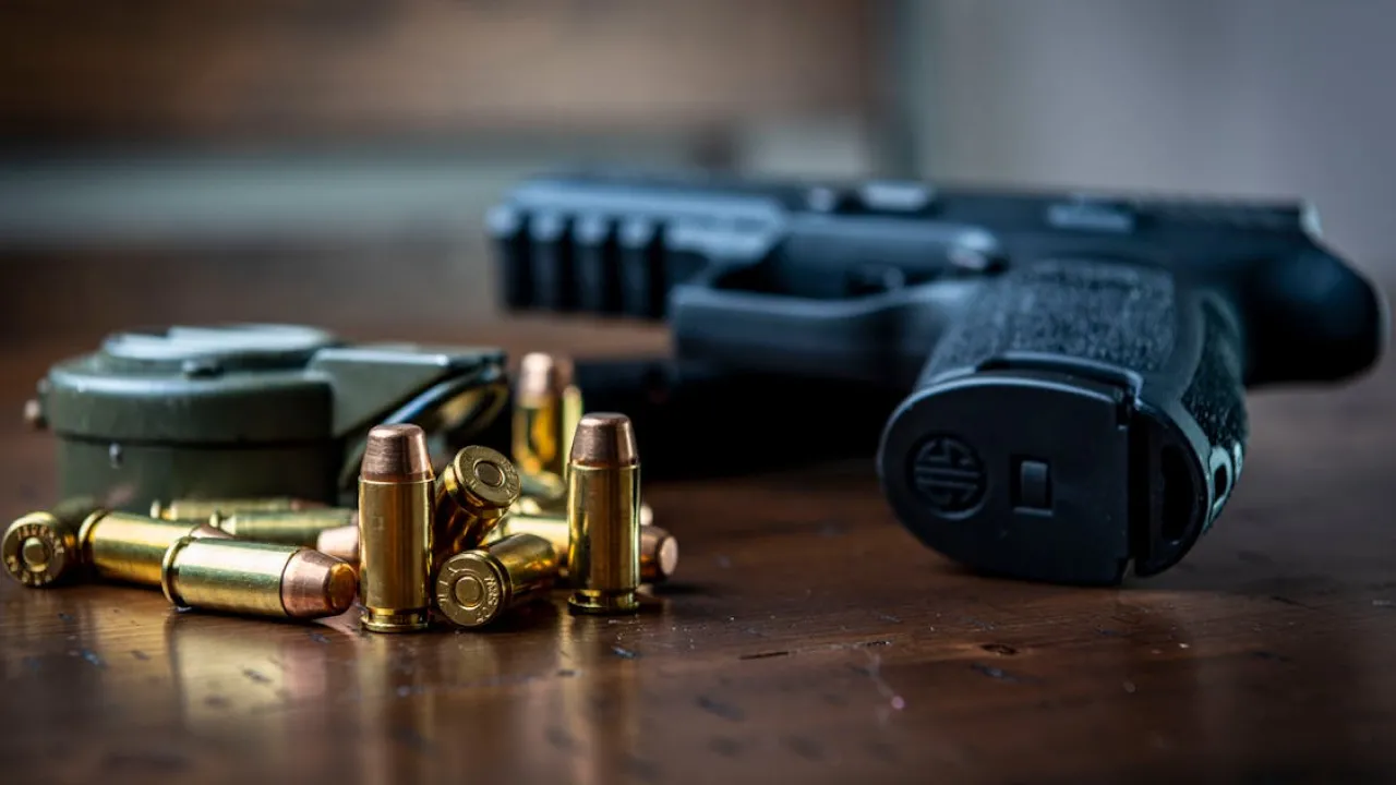 Стало відомо, скільки українці задекларували зброї та боєприпасів 