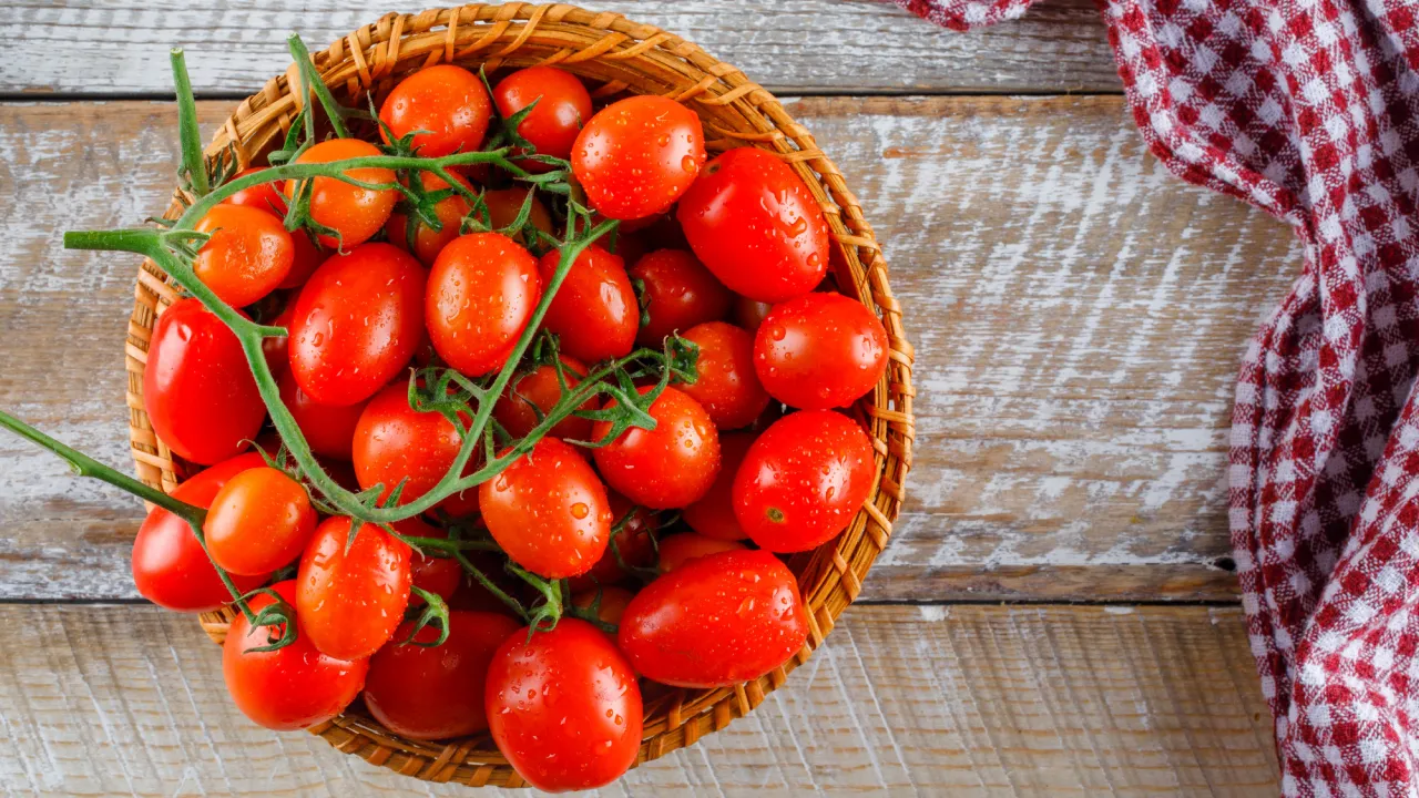 Секрети швидкого дозрівання помідорів за допомогою йоду: ефективні способи для дачі 