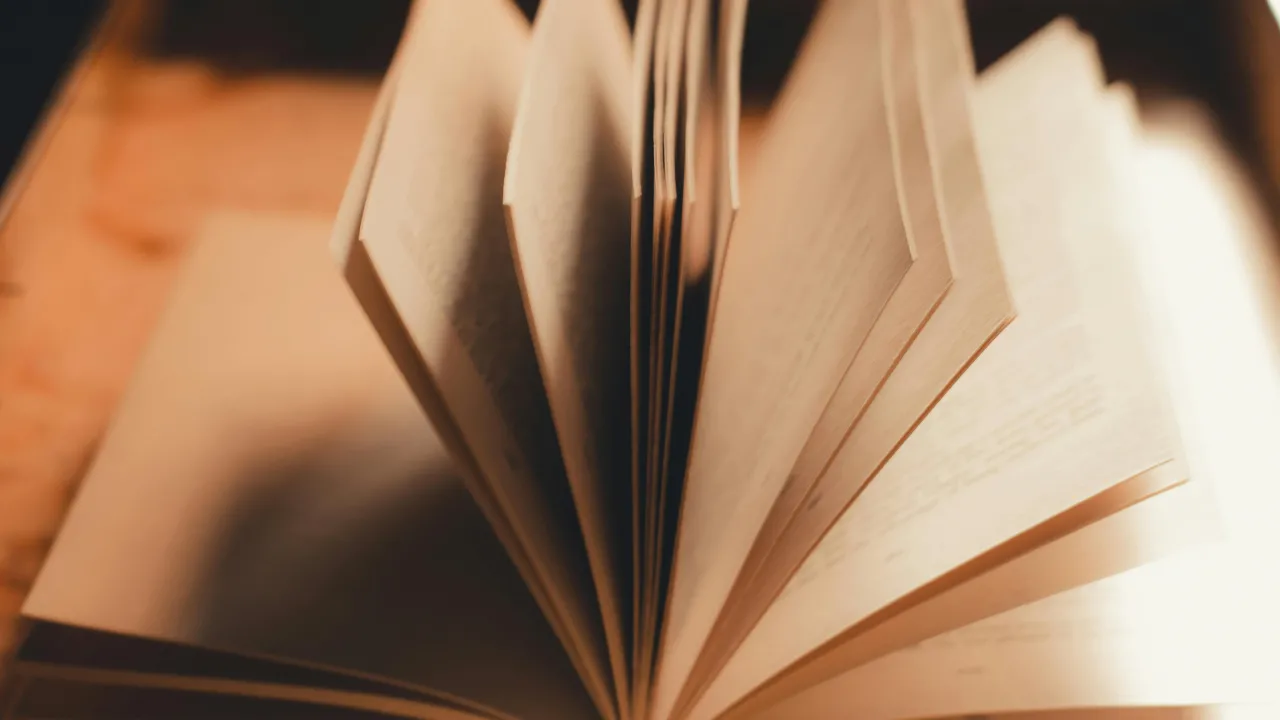 Два слова, дві істини: як не помилитися з «правильно» і «вірно» 