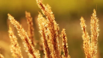 Синоптикиня назвала регіони, де завтра буде +30 - фото