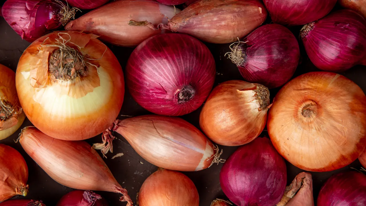 Коли садити озиму цибулю у 2025 році: поради городникам 