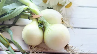 Не згниє і не проросте: відкрито ідеальне місце для зберігання цибулі, яке перевершує холодильник - фото