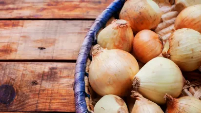 Не зволікайте: що посіяти після цибулі, щоб зібрати щедрий врожай або збагатити ґрунт - фото