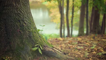 Що викидали з дому 17 серпня, щоб прогнати хвороби та нещастя: народні прикмети - фото