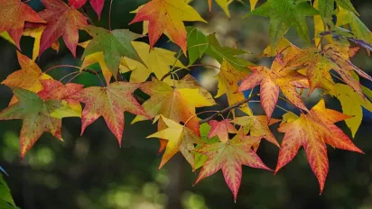Україну накриє атмосферний фронт і дощі: прогноз Наталки Діденко - фото