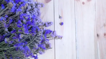 Які квіти висадити у серпні, щоб сад цвів безперервно весь сезон - фото