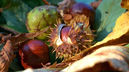 До України йде холод з півночі Європи: прогноз синоптика - фото