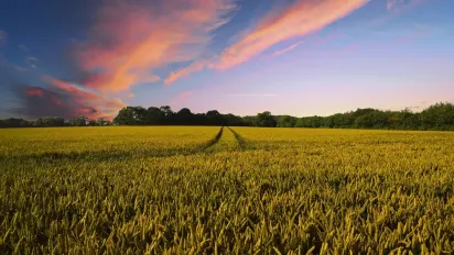 Яка погода буде в Україні на святкові вихідні: прогноз Наталки Діденко - фото