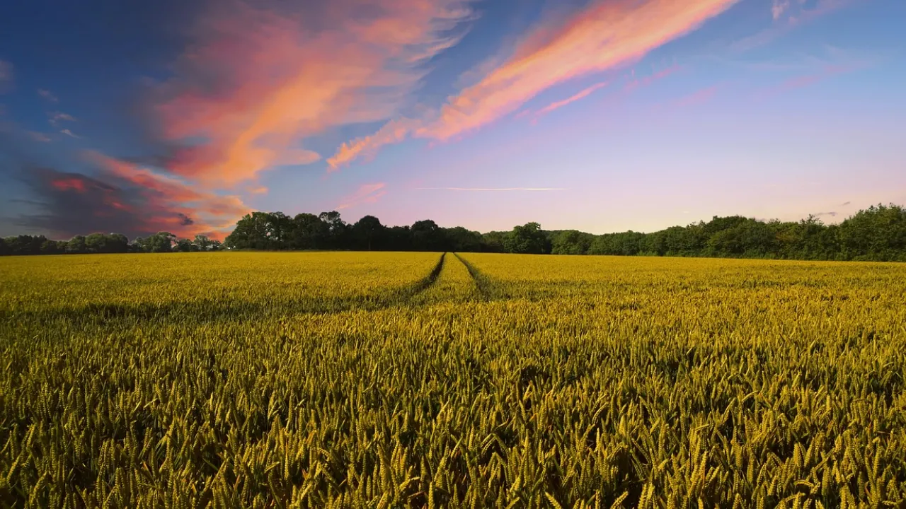 Яка погода буде в Україні на святкові вихідні: прогноз Наталки Діденко 