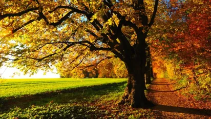 Народний синоптик обіцяє три «бабиних літа»: що буде з погодою восени та взимку - фото