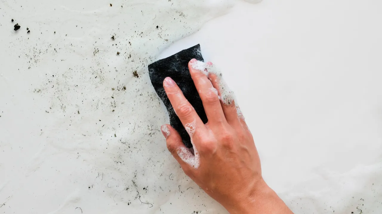 Пліснява зникає назавжди: 3 народні засоби, які дійсно працюють 