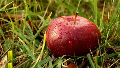 Україну накриють дощі і грози: синоптикиня назвала точну дату - фото