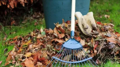 Що обов’язково потрібно прибрати з городу та саду восени, щоб навесні не мати проблем - фото