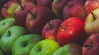 Що робити з опалими яблуками: практичні поради садівників та способи переробки - фото