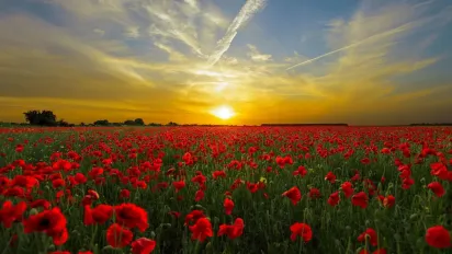 20 серпня — день святого Самуїла: традиції, заборони та прикмети - фото