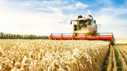 Посушливі умови знизили прогноз врожаю в Україні: чи зростуть ціни на продукти - фото