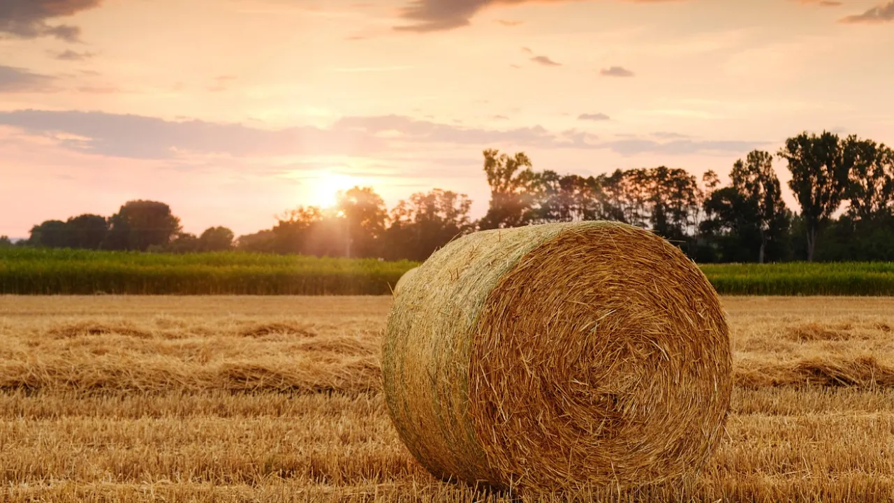 Чому 21 серпня не варто ходити в гості: народні прикмети 