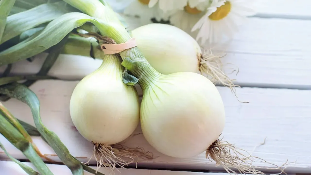 Помилка, яку допускають майже всі: де насправді зберігати цибулю 
