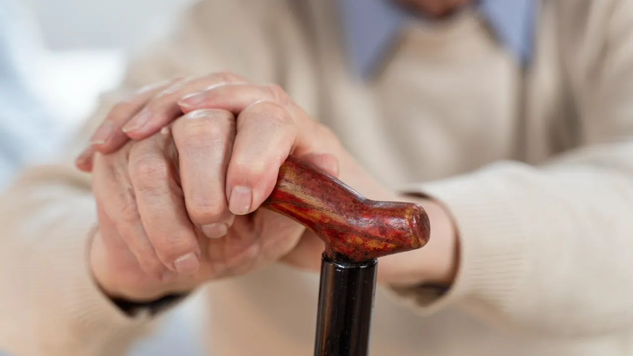 Пенсіонери за кермом можуть залишитися без прав: що передбачає законопроєкт №8082 