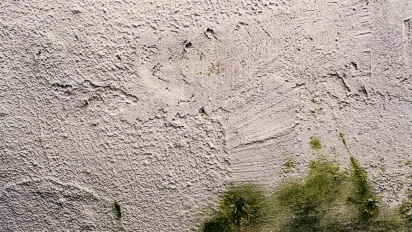 Як ефективно позбутись чорної плісняви на стінах: простий домашній лайфхак - фото