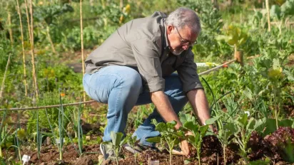 Зведете нанівець усі свої старання: чому вечірній полив небезпечний для рослин - фото