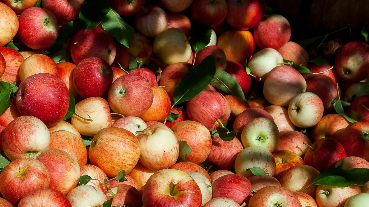 Чому яблука можуть подешевшати вдвічі: причини 
