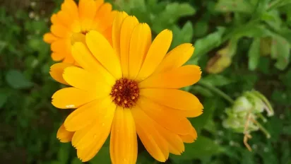 22 серпня — день святого Агафона: що можна і чого не варто робити - фото