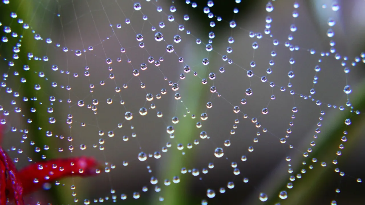 Дощі та похолодання до +15°: прогноз погоди на вихідні 