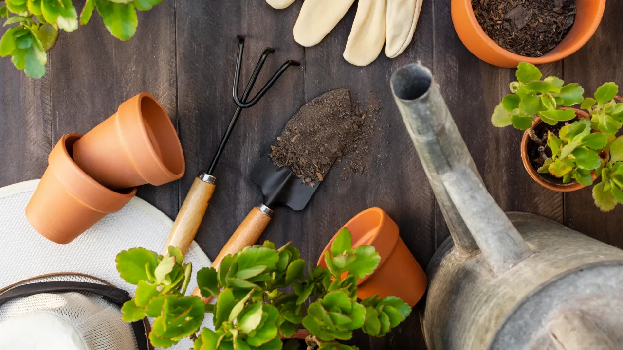 Найкращі рослини для осінньої посадки: ці дерева й кущі принесуть багатий врожай 