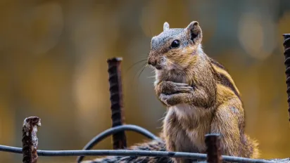 Останній тиждень літа почнеться осінньою свіжістю, а закінчиться спекою, - синоптикиня Діденко - фото