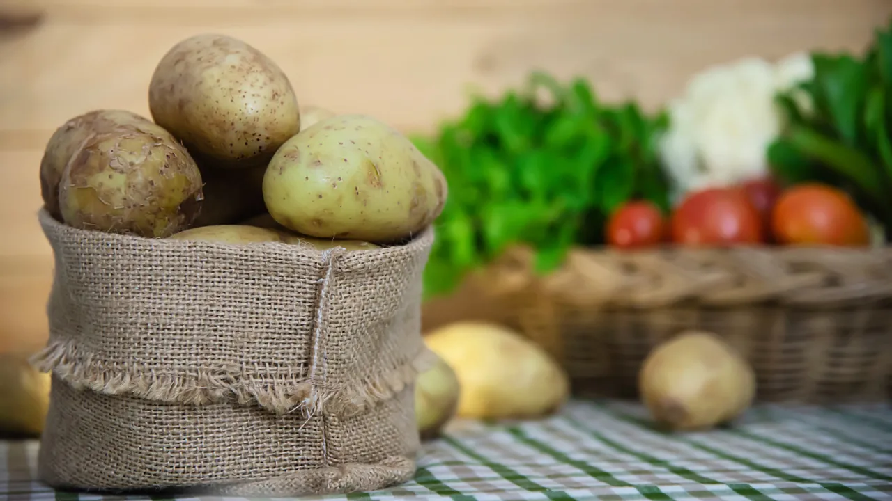 Подвійний урожай картоплі наступного року: як підготувати ґрунт восени 