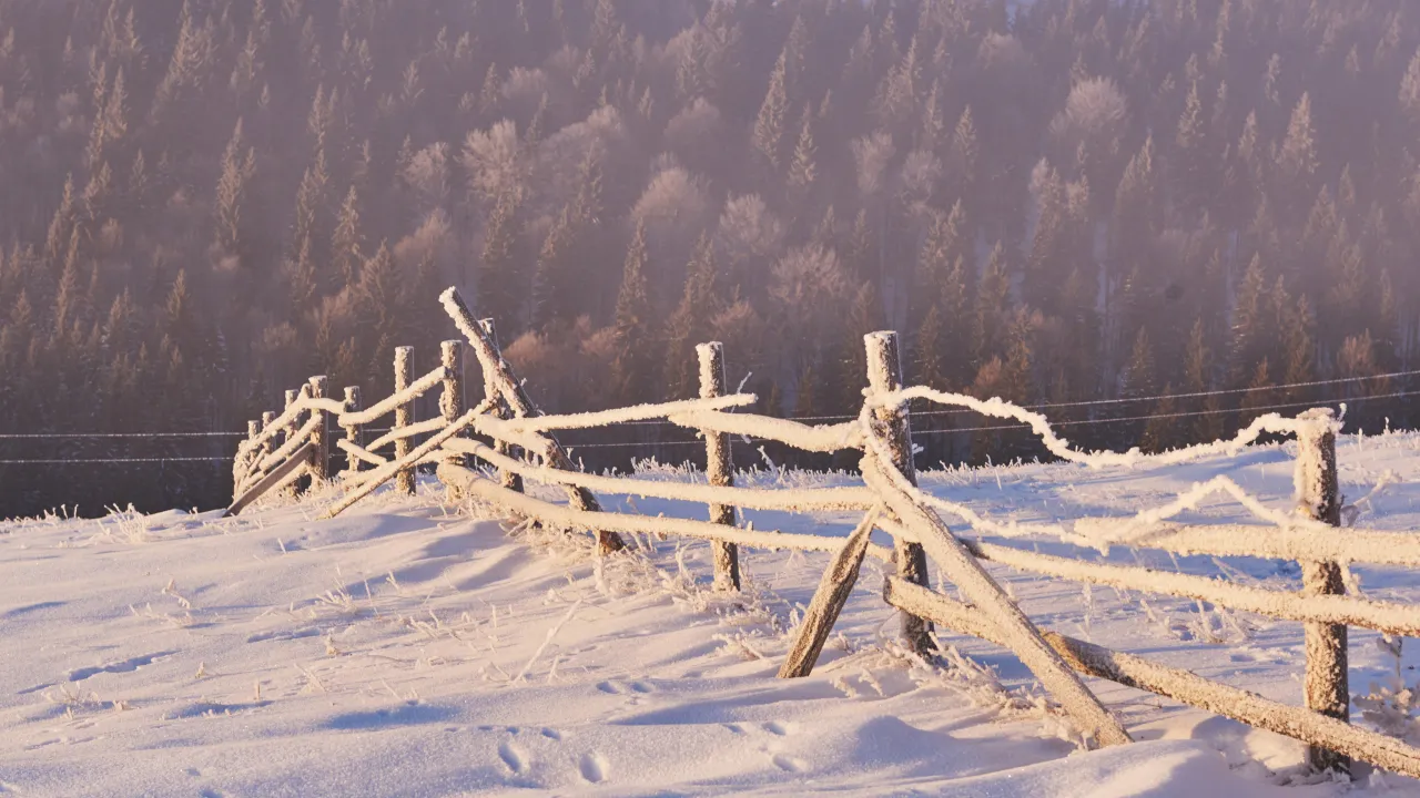 У гірському селі на Буковині зафіксували п'ятиградусний мороз: що відомо 