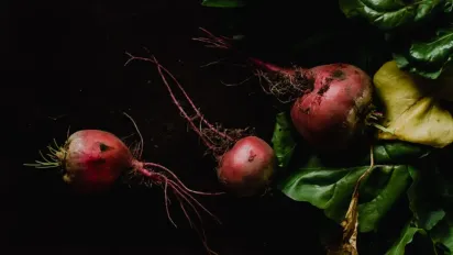 Щоб буряк не в’янув: як правильно його викопувати і зберігати - фото