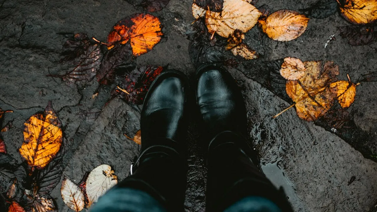 Вересень може здивувати: кліматологиня прогнозує заморозки та сніг 