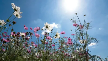 Яке свято 28 серпня 2025 та чому сьогодні варто обережно поводитися з грошима - фото