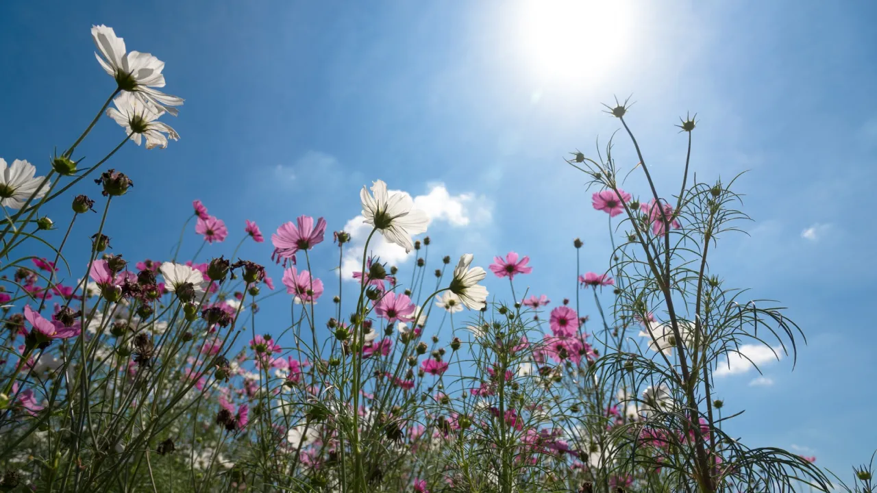 Яке свято 28 серпня 2025 та чому сьогодні варто обережно поводитися з грошима 