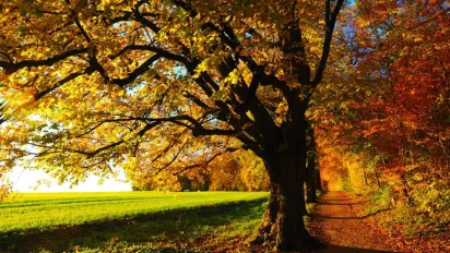 Стало відомо, якою погодою зустріне українців початок осені: прогноз Діденко - фото