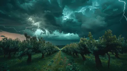 Три дерева, яких краще не садити біля будинку: блискавка б’є саме у них - фото