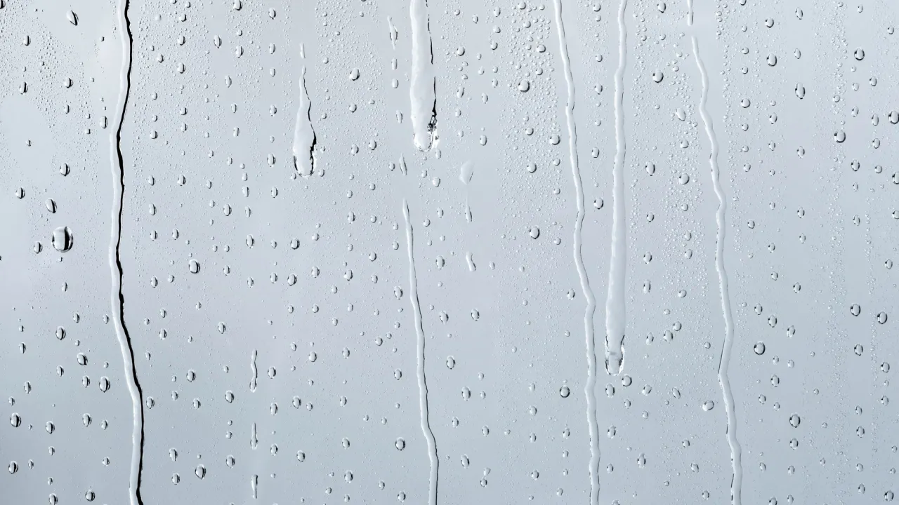 Чому на вікнах з’являється конденсат і як швидко від нього позбутися 