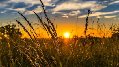 Де в Україні 1 вересня спека ослабне: синоптикиня поділилася прогнозом - фото