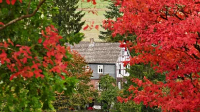   Якою буде осінь в Україні: прогноз синоптика - фото
