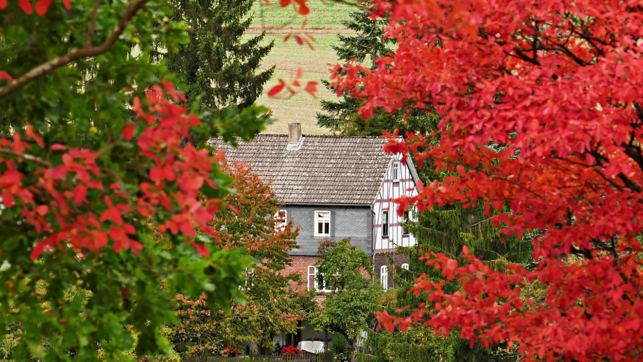   Якою буде осінь в Україні: прогноз синоптика 