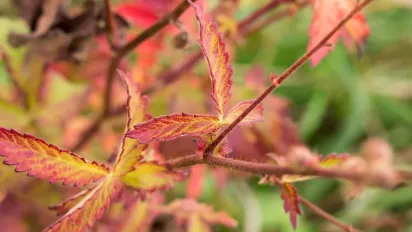 2 вересня: що варто і чого не слід робити цього дня - фото